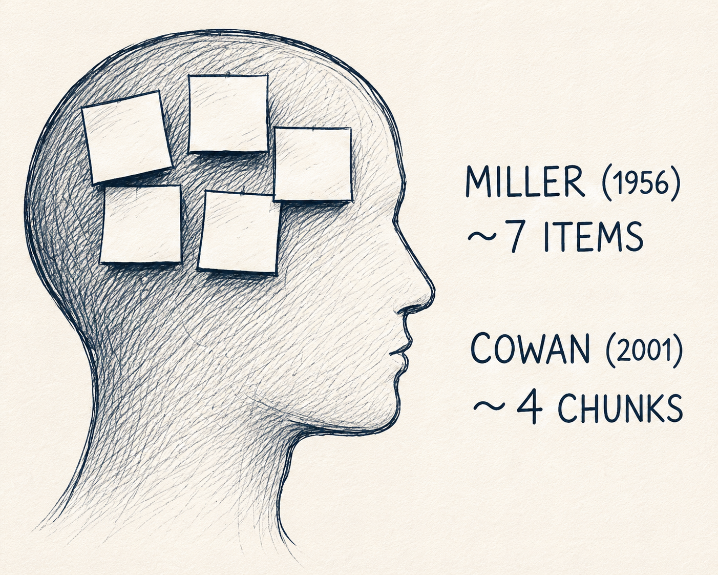 A head silhouette with sticky notes, showing Miller 1956 at roughly seven items and Cowan 2001 at roughly four chunks